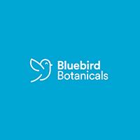 Bluebird's New Look