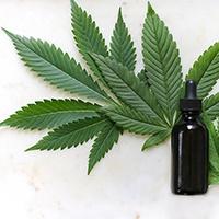 Bluebird’s Conversations About Cannabis: How Did It Become Illegal?