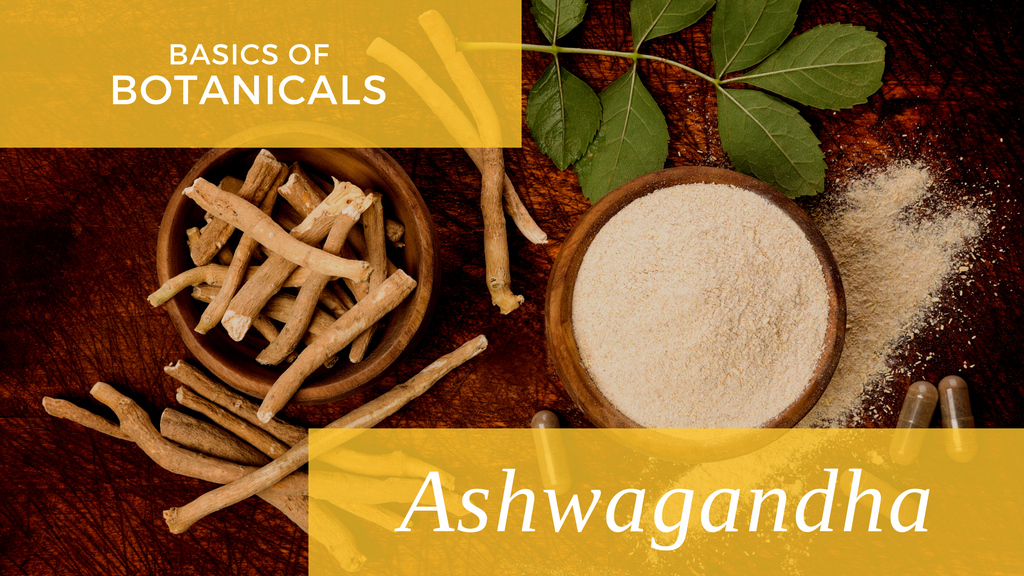 Basics of Botanicals: Ashwagandha