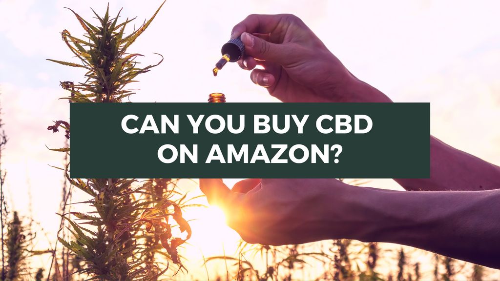 Can You Buy CBD on Amazon?