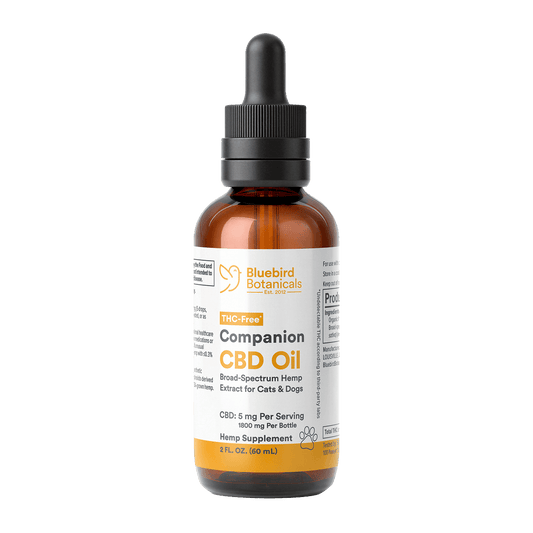 A bottle of Companion CBD Oil for Pets with a dropper, labeled with 5 mg of CBD per serving.