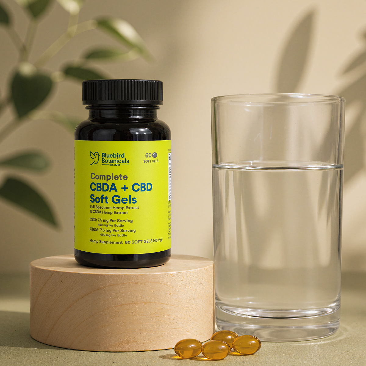 Complete CBDA + CBD Oil Soft Gels
