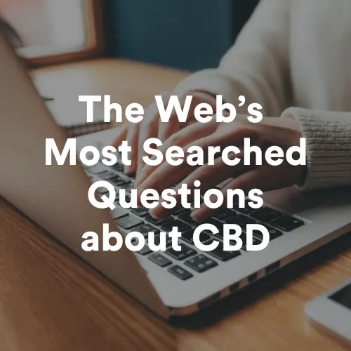 The Web's Most Searched Questions about CBD