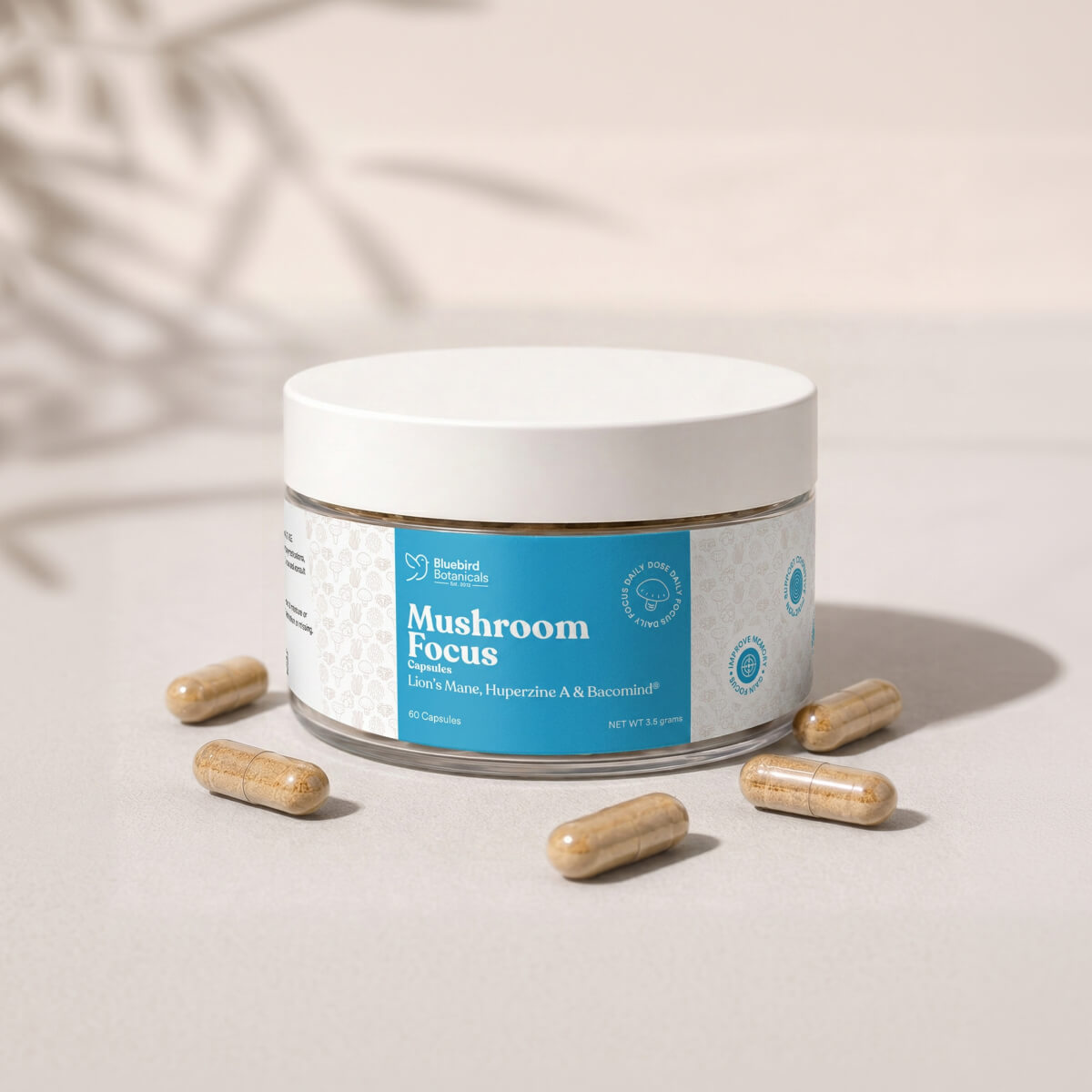 Mushroom Focus Capsules