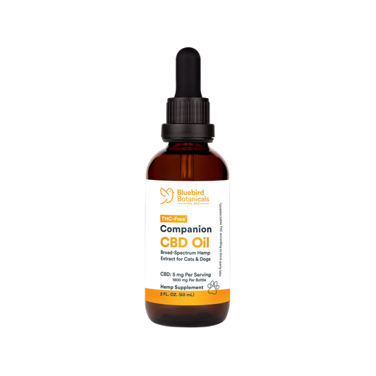 A bottle of Companion CBD Oil for Pets with a dropper, labeled with 5 mg of CBD per serving.