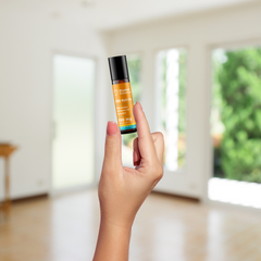 Three Bluebird Botanicals CBD oils – Uplift, Clarify, and Downshift blends designed for balanced wellness from morning to night