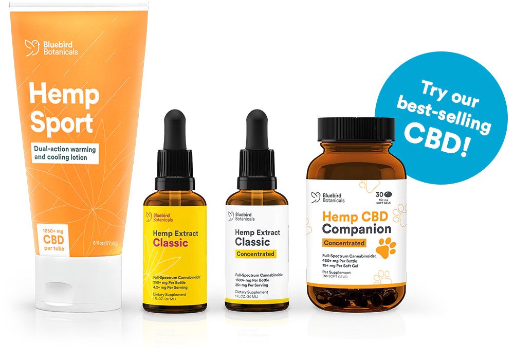 Long-Term Disability Program