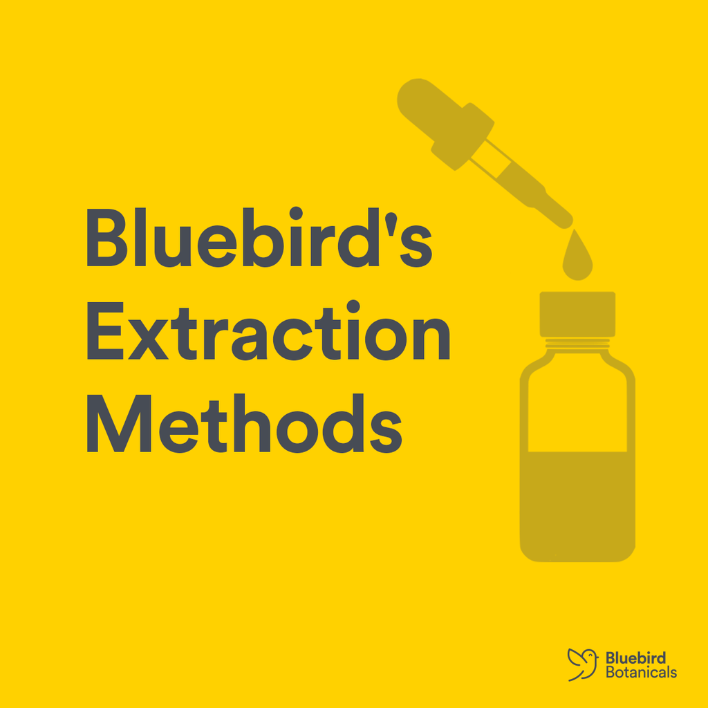 Bluebird Botanicals' Extraction Methods