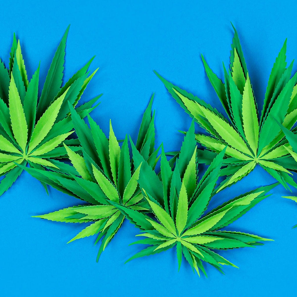 House Committee Approves Groundbreaking Legislation to Federally Legalize Marijuana