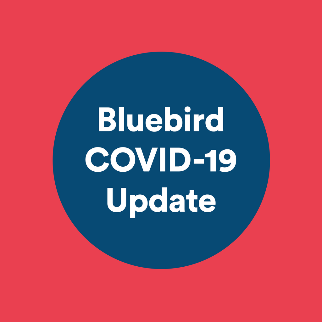 Bluebird’s Business Procedures During COVID-19