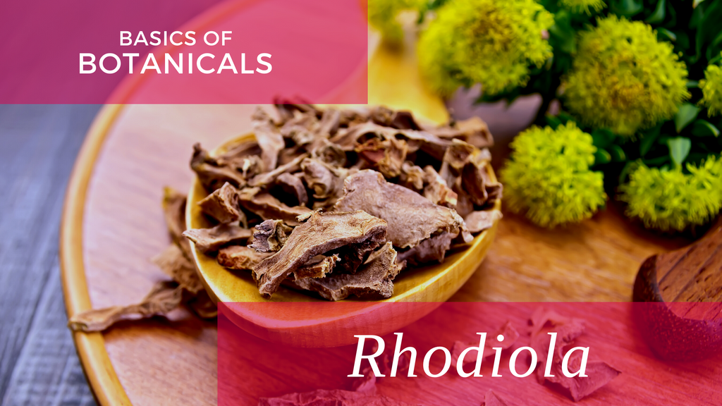 Basics of Botanicals: Rhodiola
