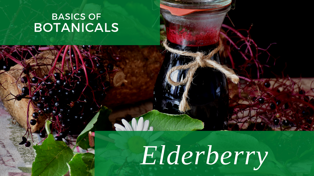 Basics of Botanicals: Elderberry