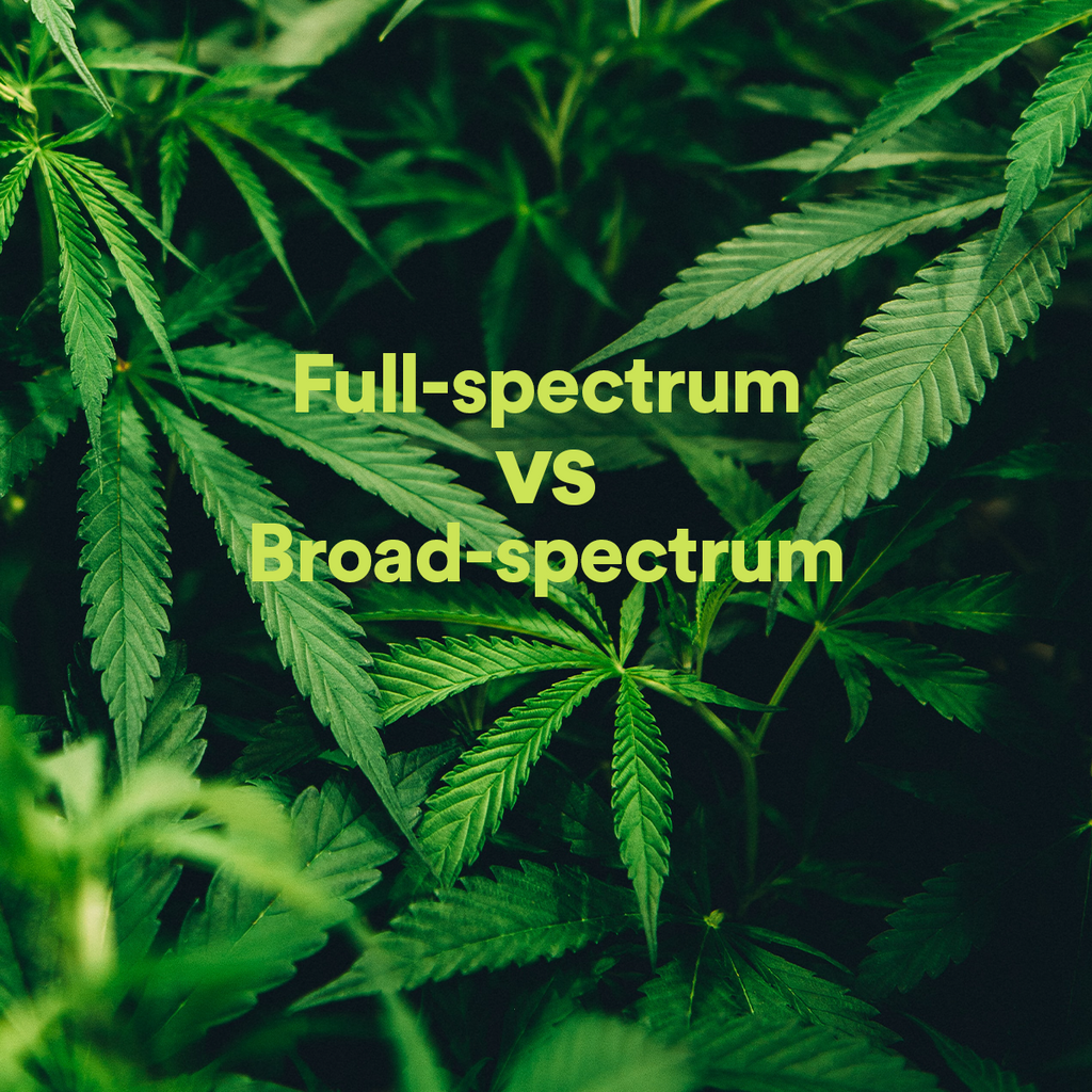 Full-Spectrum vs. Broad-Spectrum CBD: What’s the Difference?
