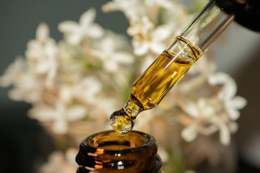 CBD Oil Tinctures for Daily Wellness Routines