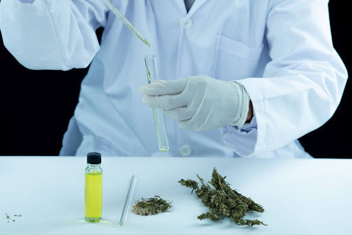 CBD Extraction Methods Explained: How It’s Made Matters