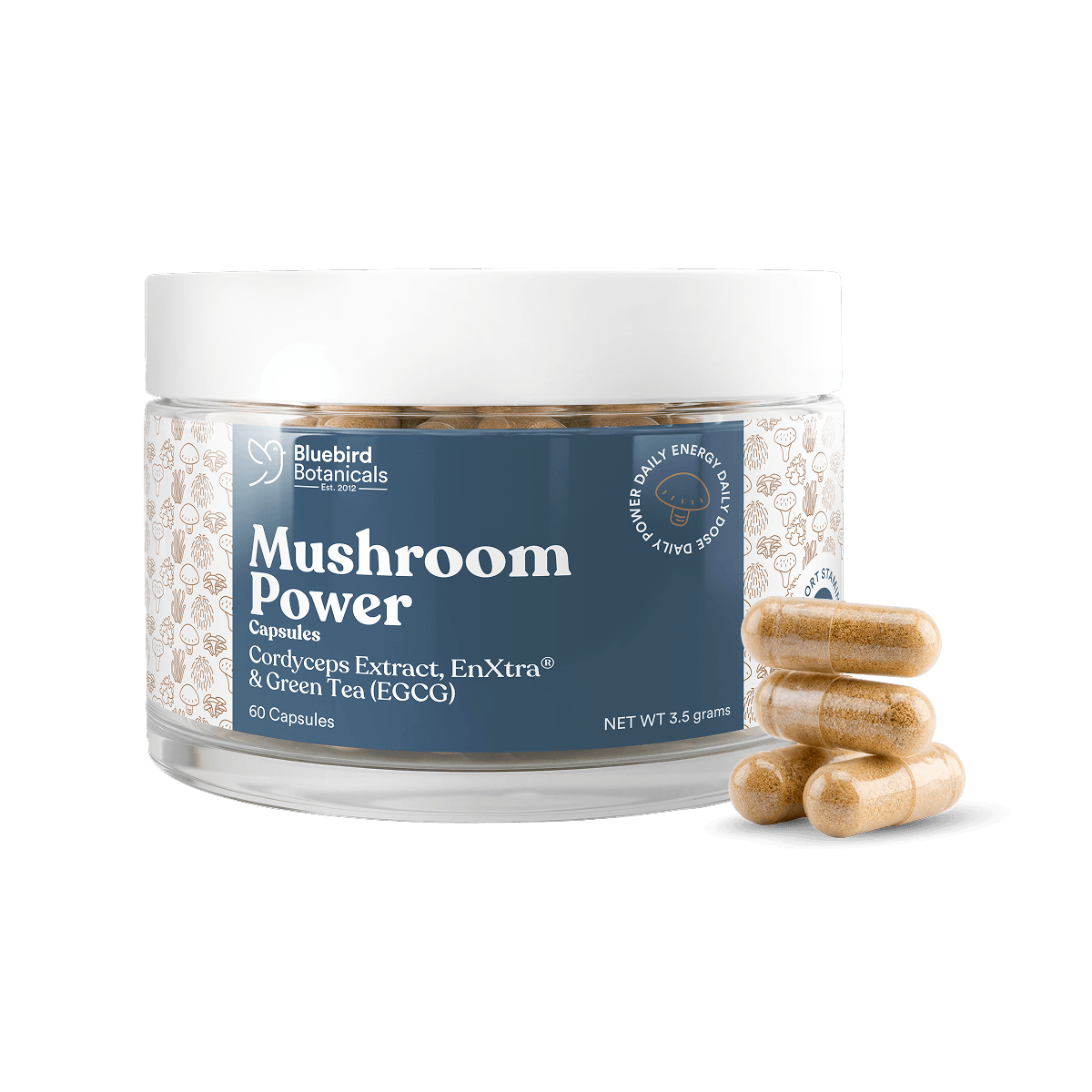 Mushroom Power Capsules