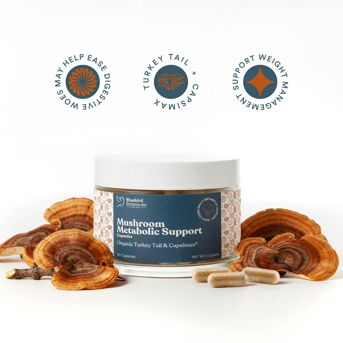 Mushroom Metabolic Support Capsules