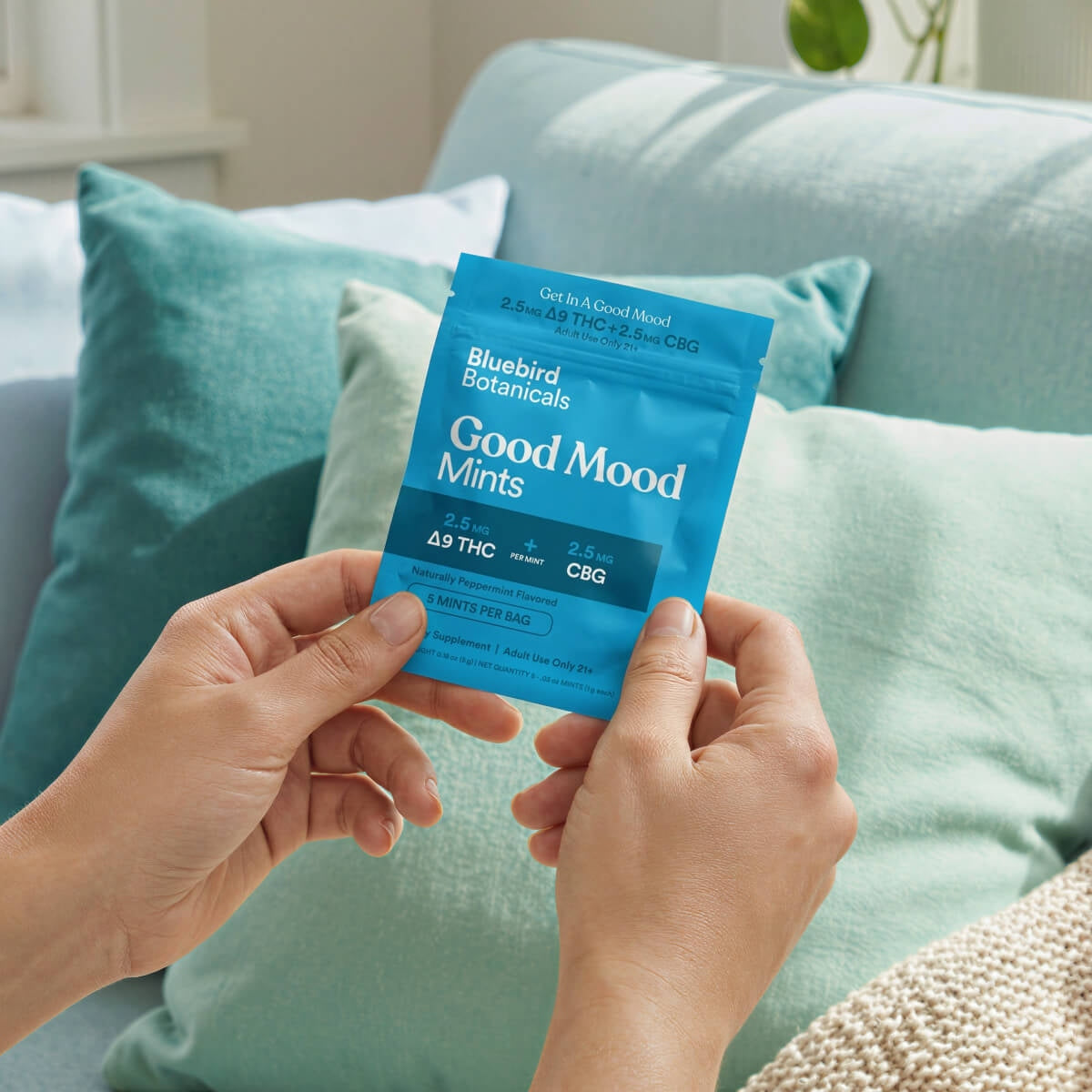 Good Mood Mints – Delta-9 THC + CBG Microdose Mints