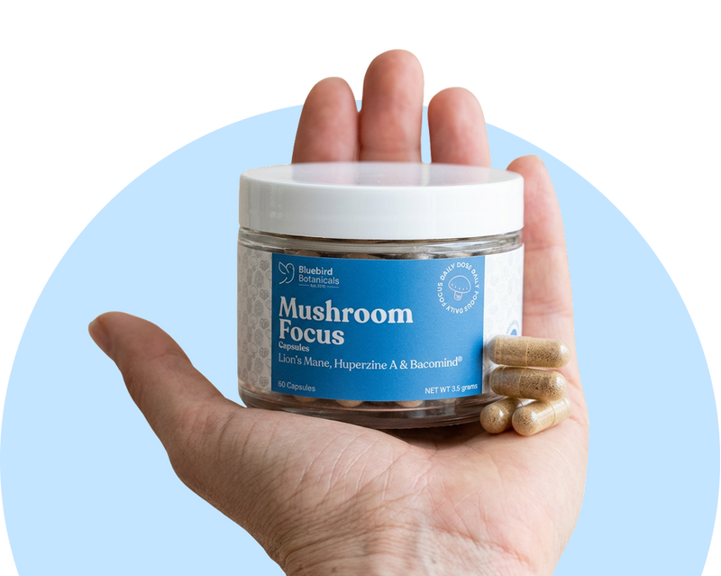 Ingredients That Support Focus & Clarity