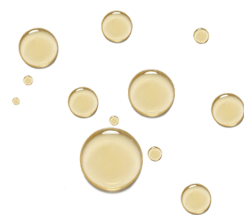 About Our CBD Oils