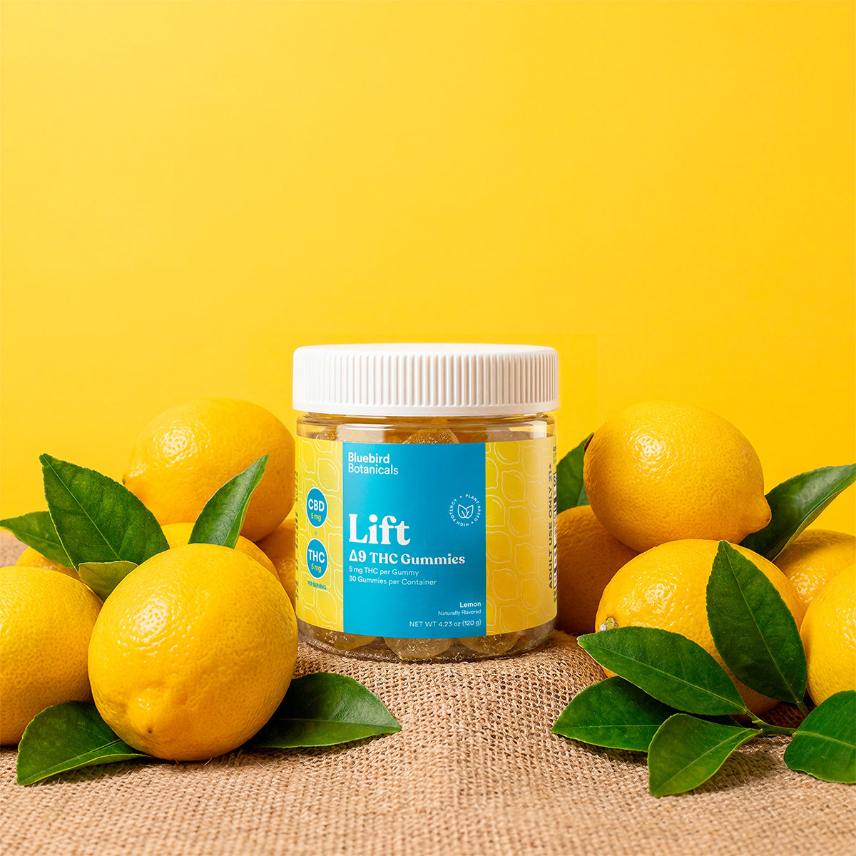 Lift Gummies - Lemon | 5mg Delta-9 THC + 5mg CBD