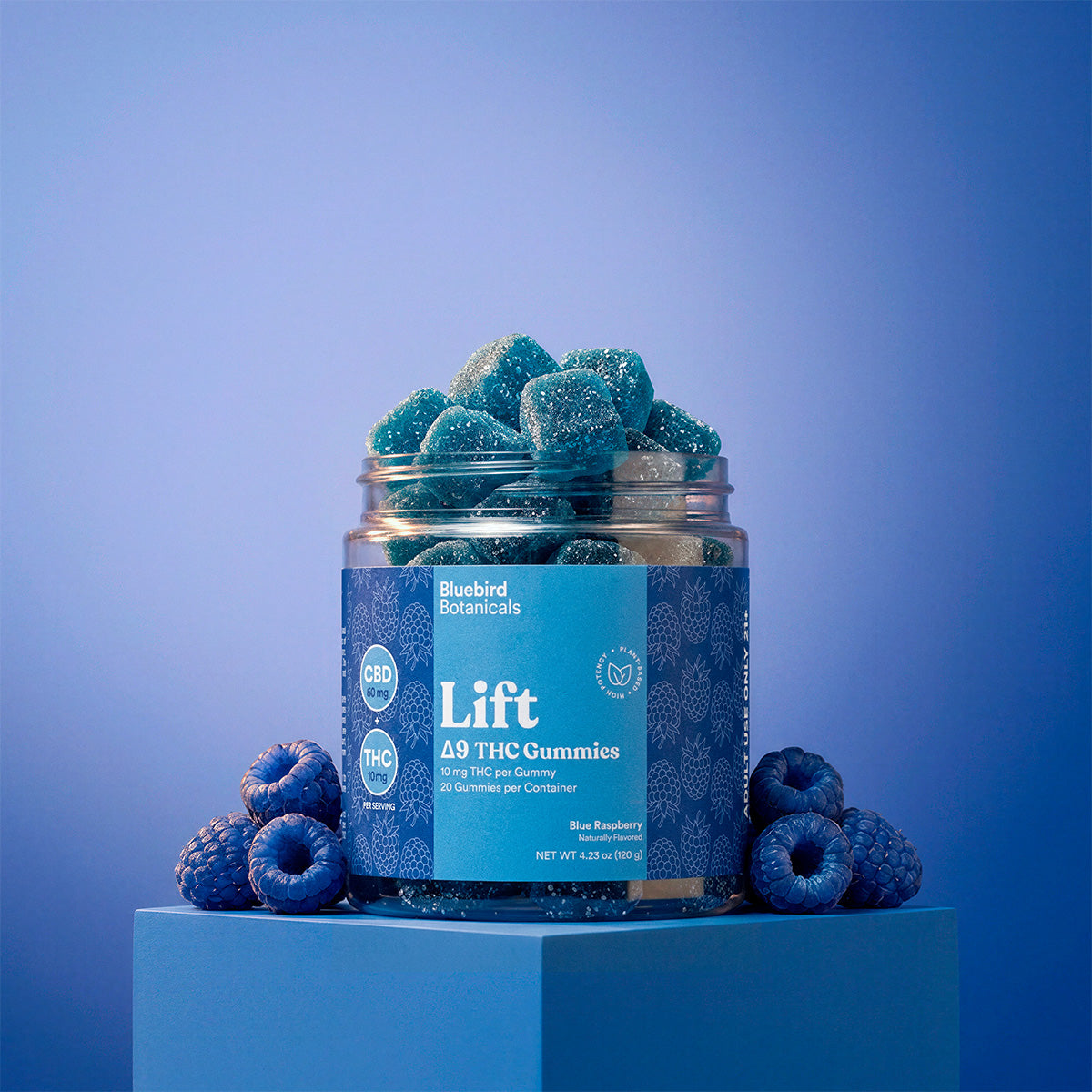 Lift Gummies – Blue Raspberry | 10mg Delta-9 THC + 60mg CBD