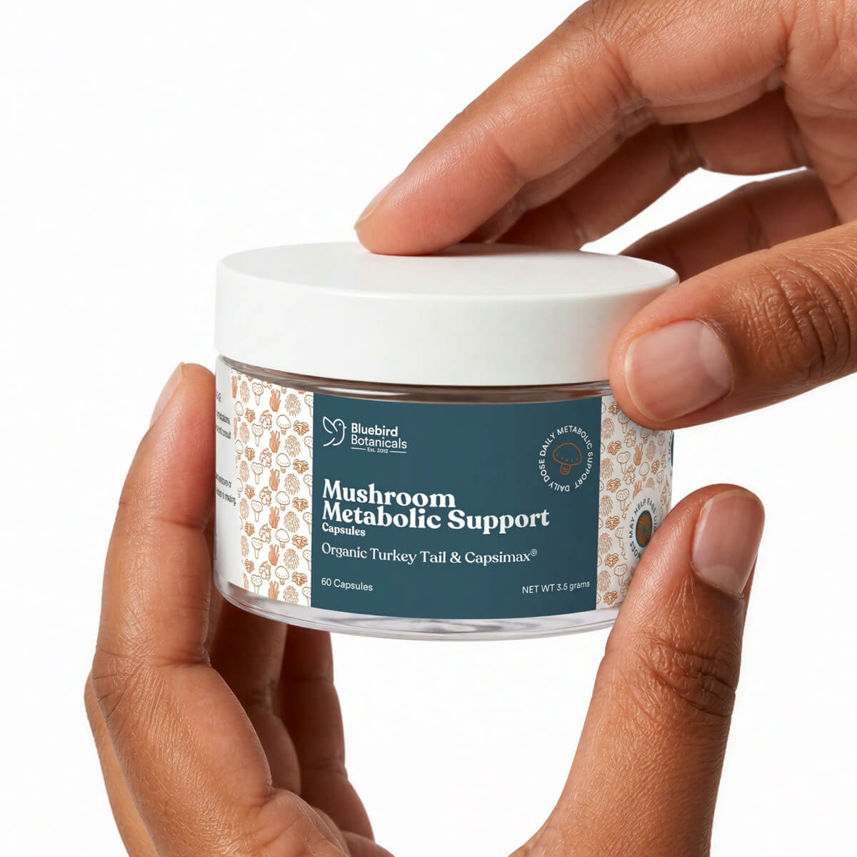 Mushroom Metabolic Support Capsules