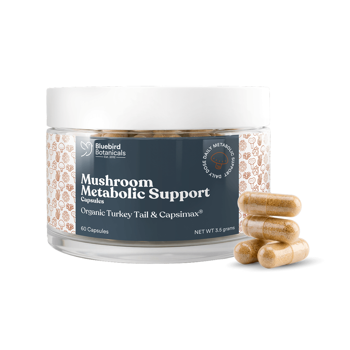 Mushroom Metabolic Support Capsules