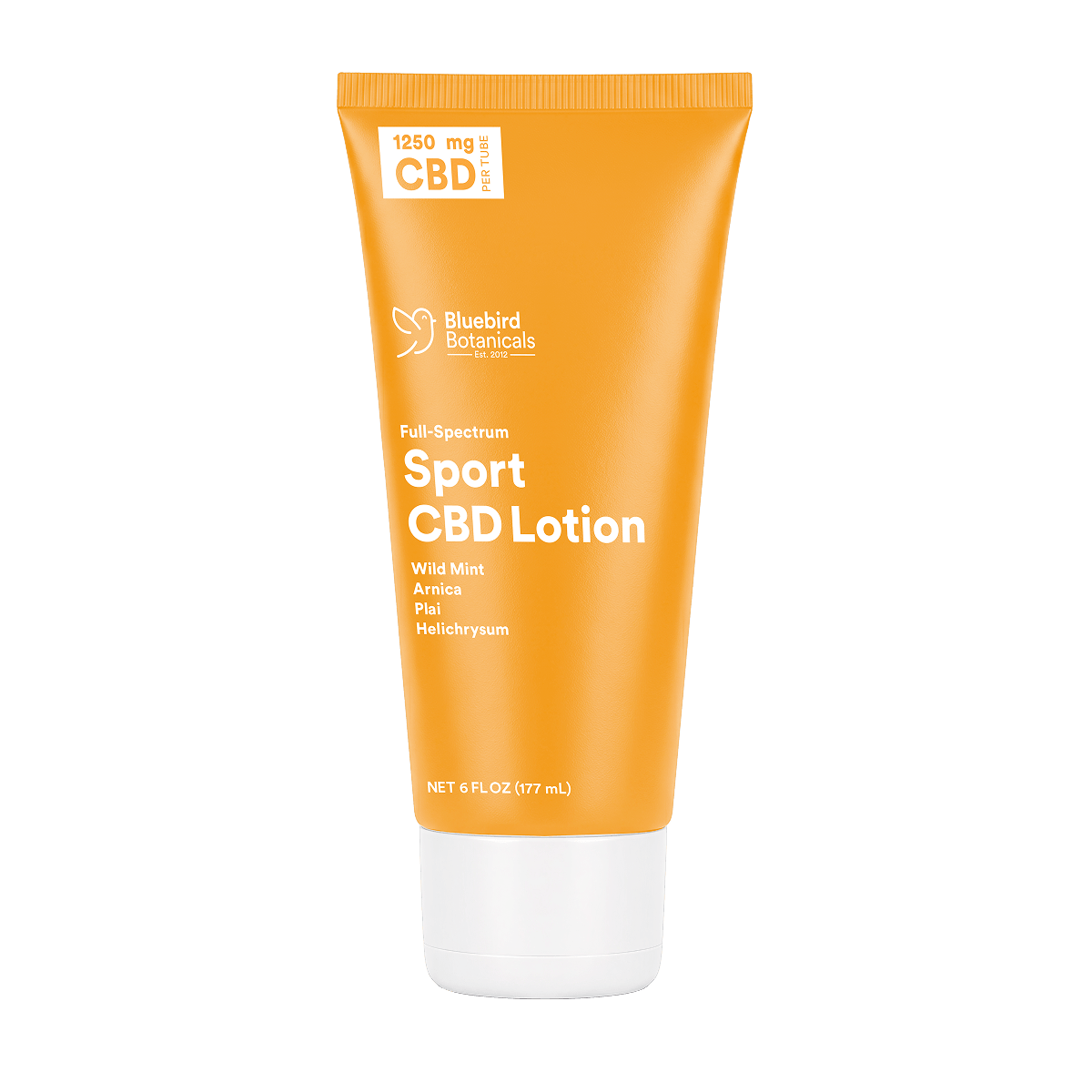 Sport CBD Lotion