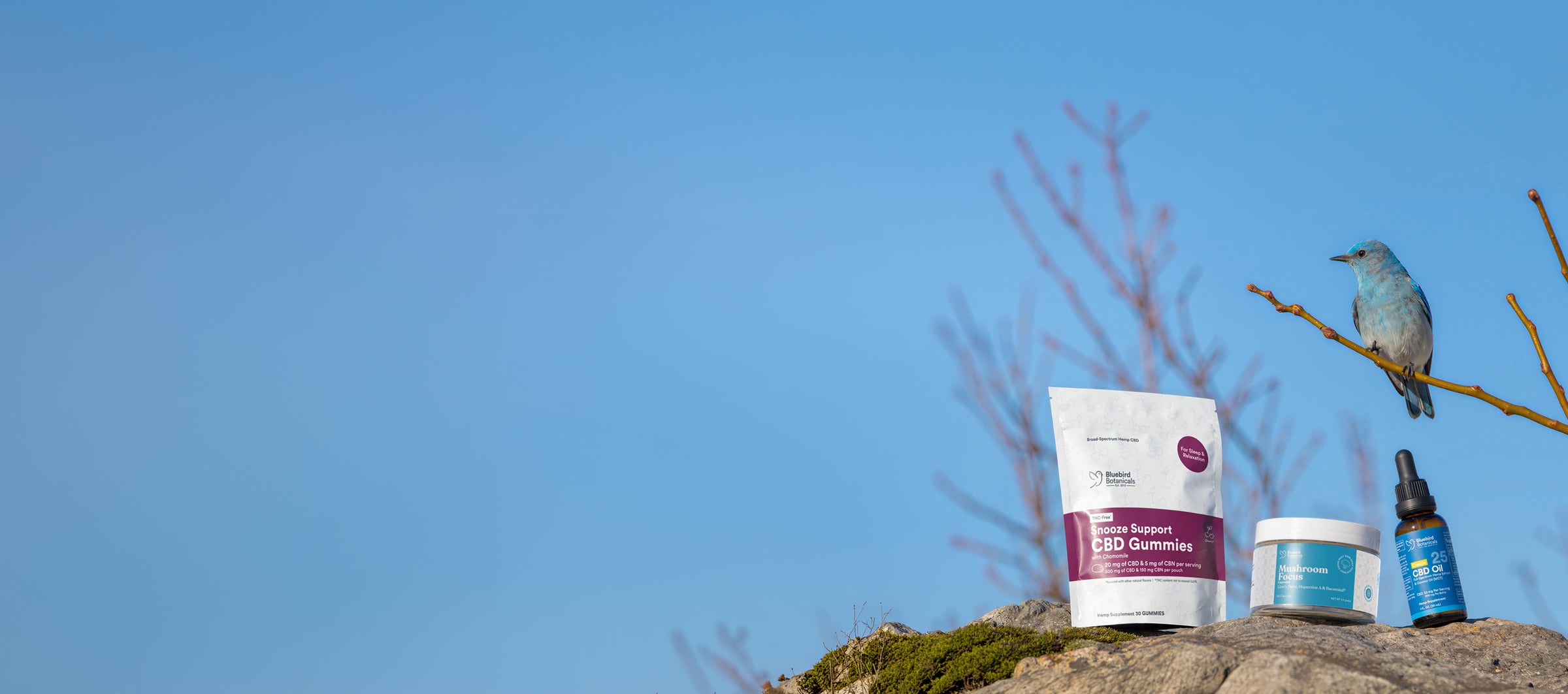Bluebird Botanicals products with a bluebird