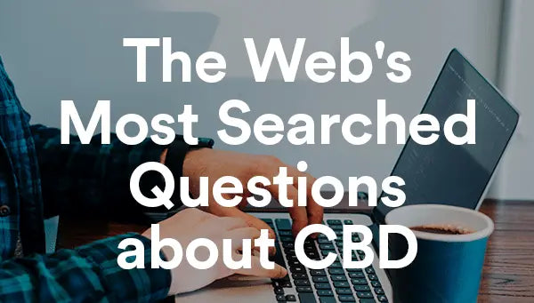 The Web's Most Searched Questions about CBD blog image